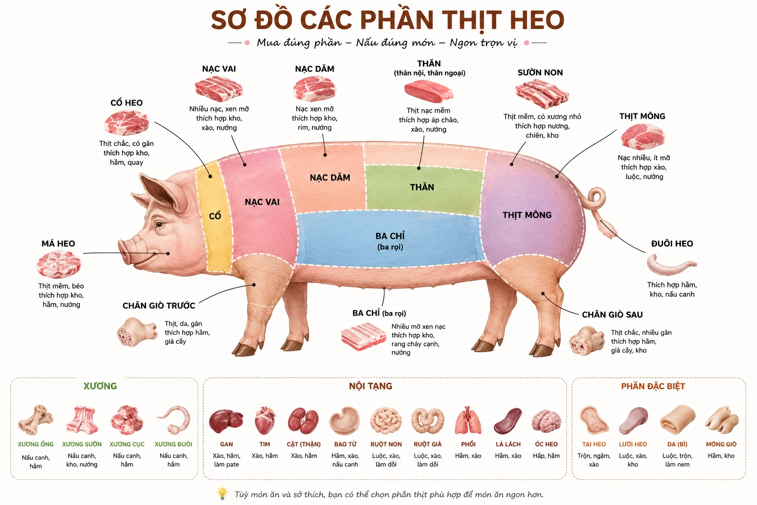 Sơ đồ thịt heo - Những phần thịt phổ biến